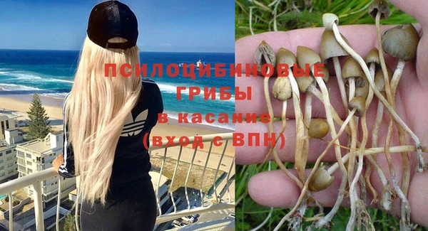 скорость Новозыбков