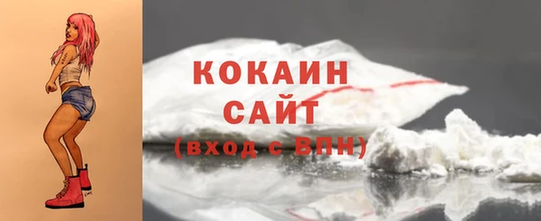 скорость Новозыбков