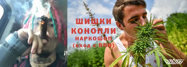 скорость Новозыбков