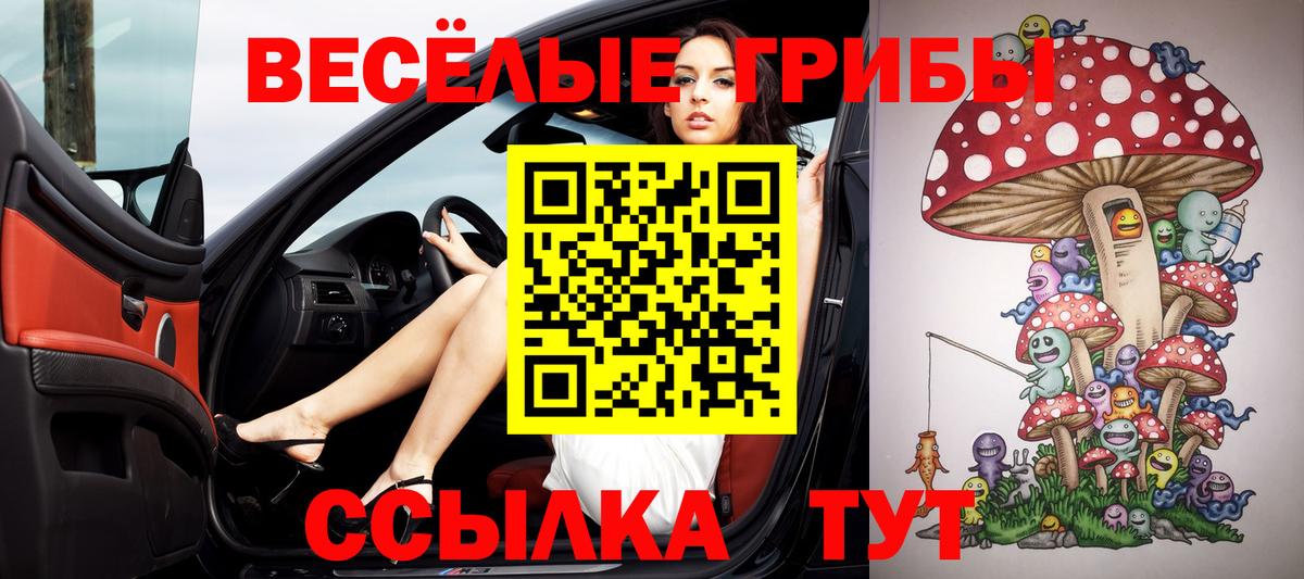 Галлюциногенные грибы Psilocybine cubensis Искитим