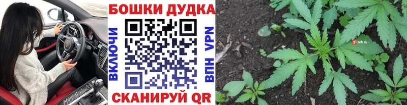 купить наркотики сайты  Искитим  Каннабис VHQ 